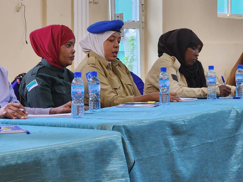 CHANGES II Project 2021-2024 – 19