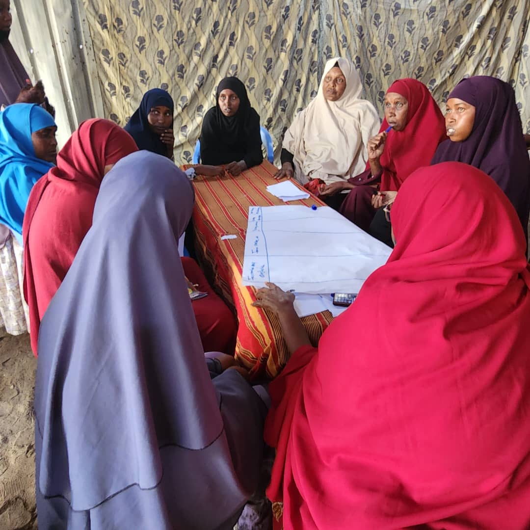 CHANGES II Project 2021-2024 – 21